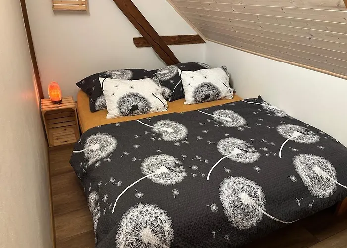 U Rezy 度假居 Loučná nad Desnou